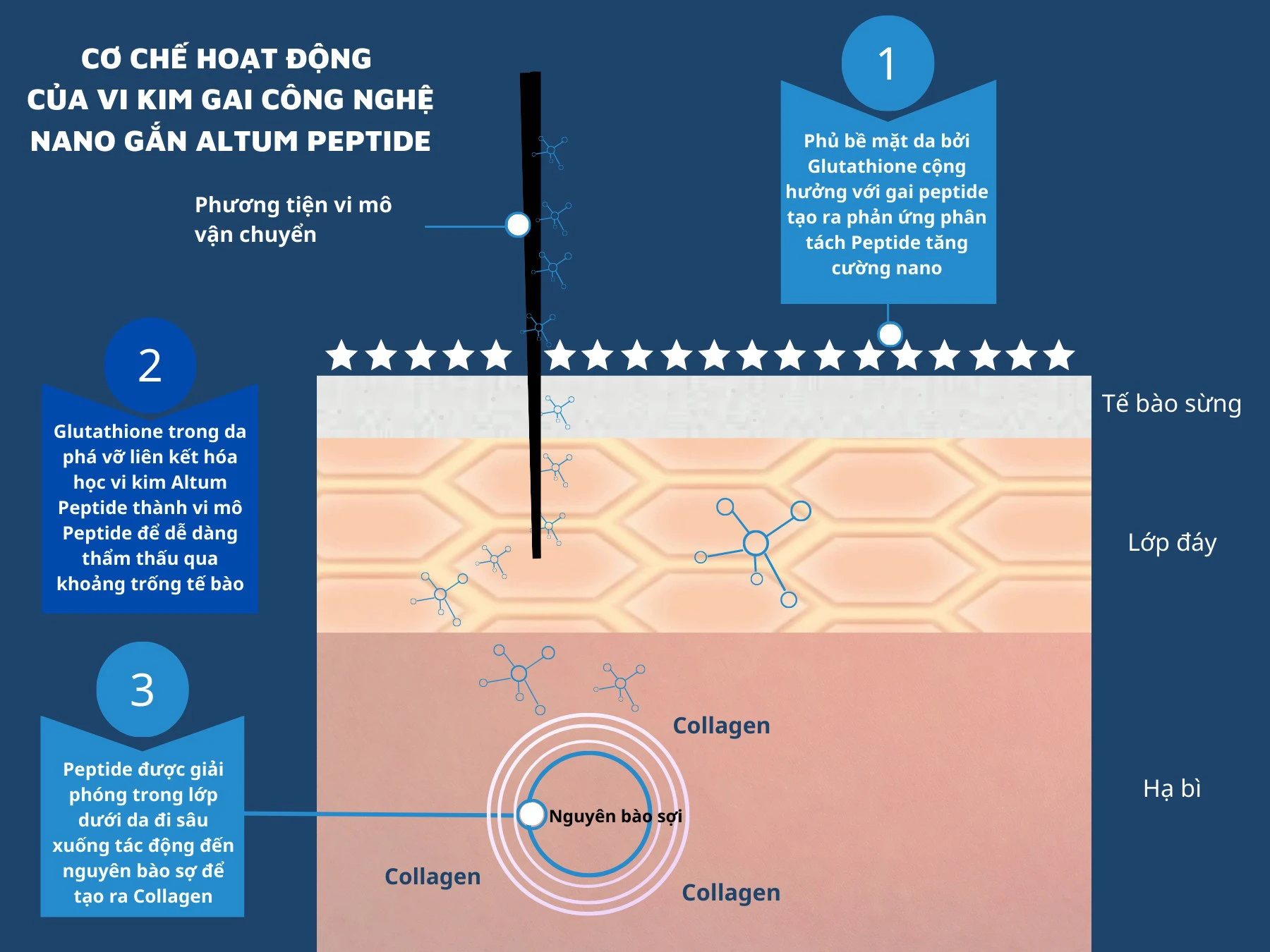 Sở hữu làn da tươi trẻ với liệu trình vi kim gai công nghệ nano
