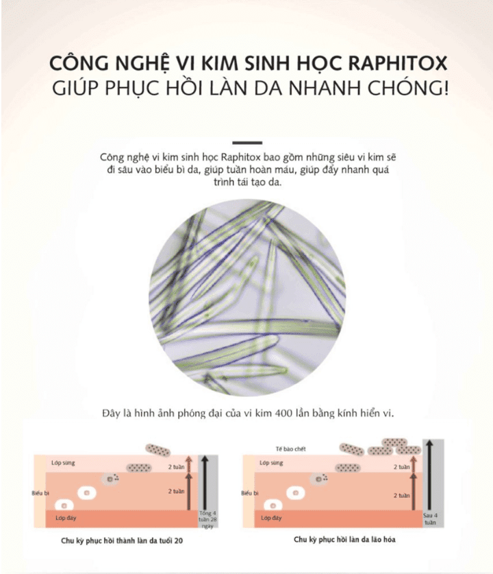 Cơ chế hoạt động vi kim sinh học